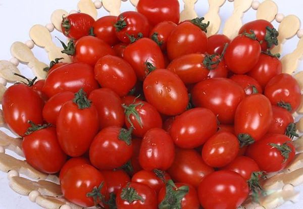 圣女果是转基因食品吗 圣女果和西红柿的区别