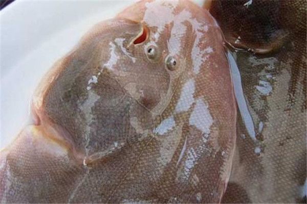 ��Ŀ����۾���ʲô�ص� ��Ŀ���˫�������ͳ���ͬһ����