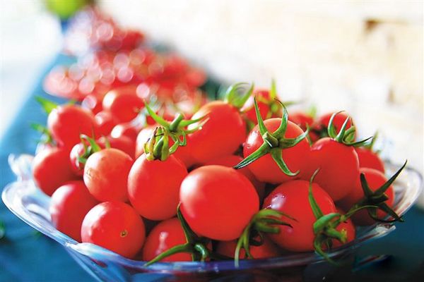 圣女果是转基因食品吗 圣女果和西红柿的区别