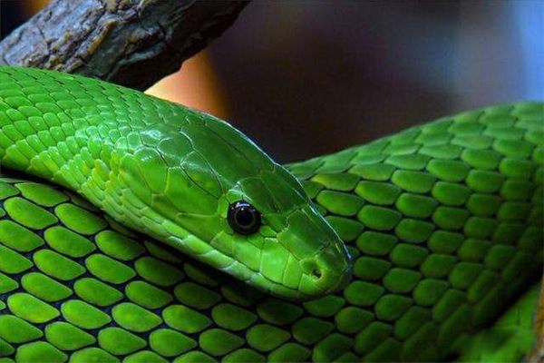 �������������о綾�� �������������Ը��������