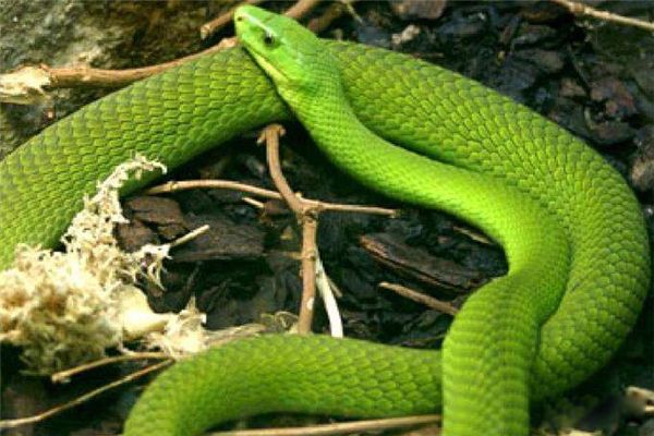 �������������о綾�� �������������Ը��������