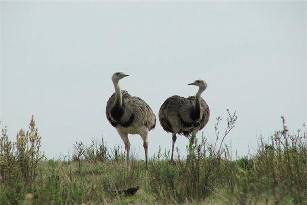 �������ҵĽ������� ����������Ҫ�ֲ�������