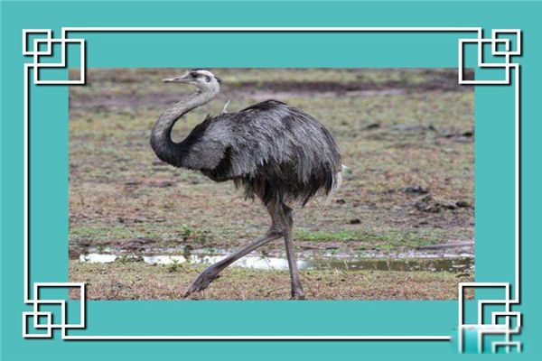 �������ҵĽ������� ����������Ҫ�ֲ�������