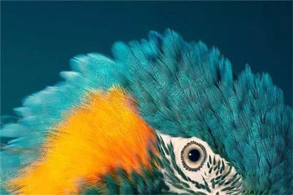 ��������ĳ�ʲô���ж�� ����������ǹ��Ҽ�����������