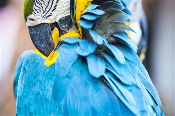 ��������ĳ�ʲô���ж�� ����������ǹ��Ҽ�����������