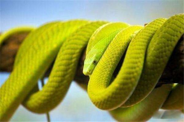 �������������о綾�� �������������Ը��������