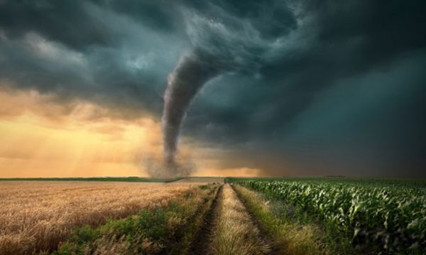 ����������ô�γɵ� ��������������ֵ����