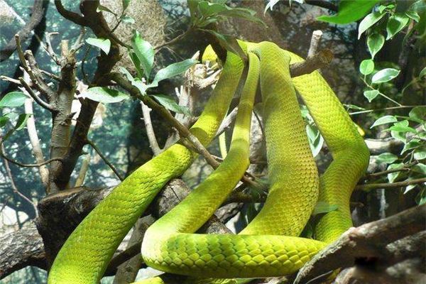 �������������о綾�� �������������Ը��������