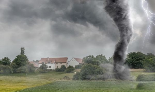 ����������ô�γɵ� ��������������ֵ����