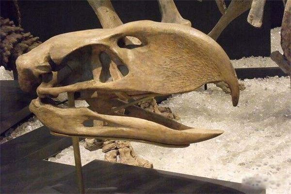 ������ʲô����?������ ��������ô�����ԭ��