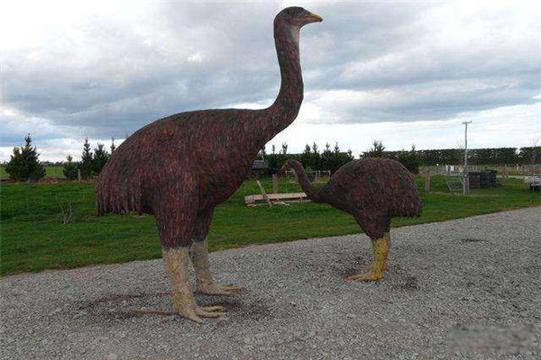 ������ʲô����?������ ��������ô�����ԭ��