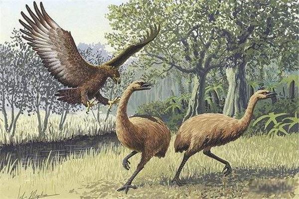 ������ʲô����?������ ��������ô�����ԭ��