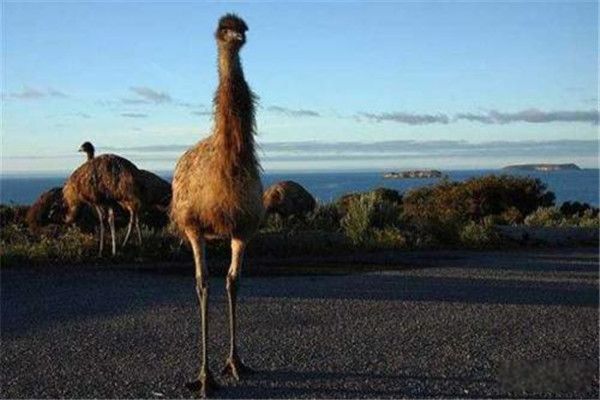 ������ʲô����?������ ��������ô�����ԭ��