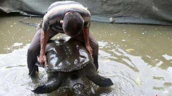 �ƺӵ������¼���ʵ��������ǰʮ ���ڻƺ�δ��֮����ʵ����