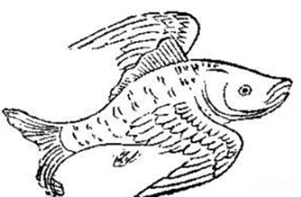 �ṫ����ɽ�����Ķ��м��� �ṫ��ͼƬ��ʲô����