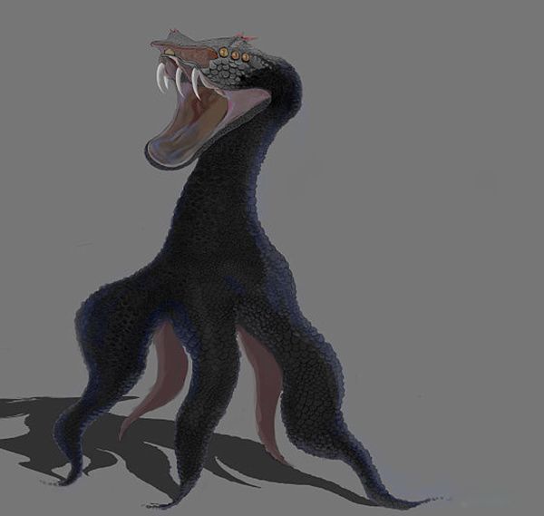 �ṫ����ɽ�����Ķ��м��� �ṫ��ͼƬ��ʲô����