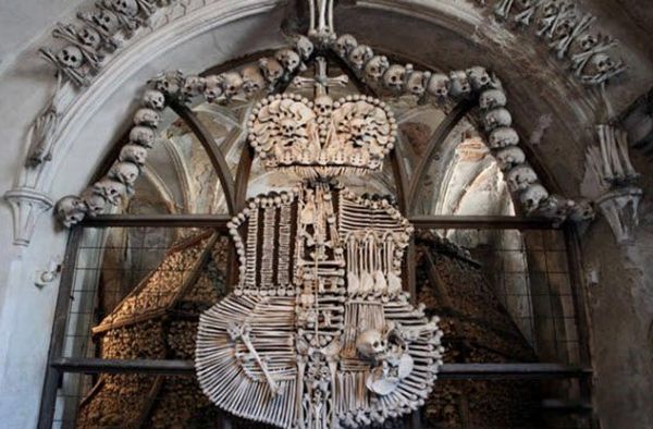 �ֲ���������ǰʮ�� ȫ������ֲ��Ľ���������