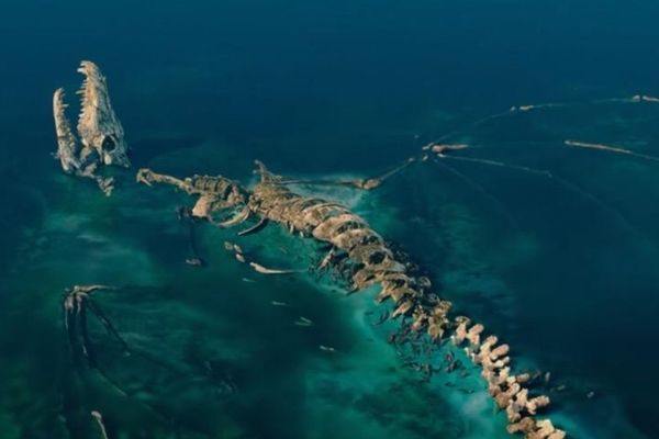 ����������˭? ������ô���Ĵ�˵����