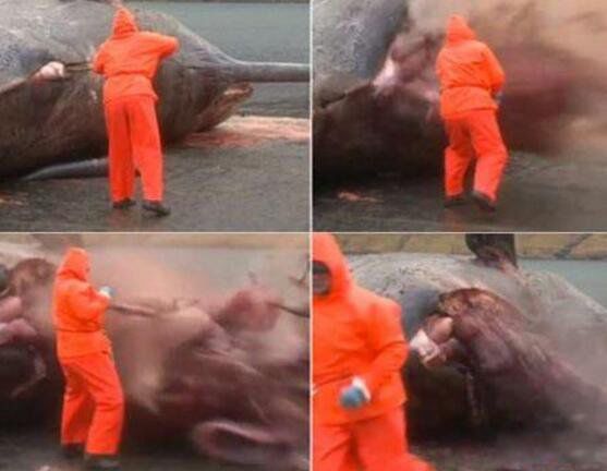 ���㱬ը�������ʲô �޴�ľ��㱬ը����ô����