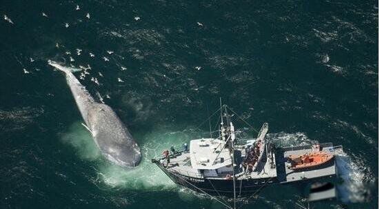 ���㱬ը�������ʲô �޴�ľ��㱬ը����ô����