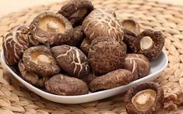 ���㹽��Ҫ�ݶ೤ʱ�� ���㹽����ˮ������ˮ��