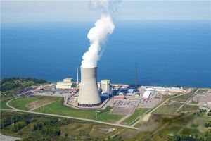 ���۱���ʲô��Ӧ���� ԭ����Ӧ������Щ