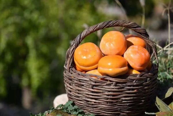 �����ز���Ʒ�������а� �����ز�����Щ�óԵ��ܴ��ߵ�