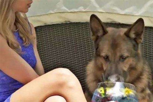 ��������еĹ���ɪ������ʲôƷ�� ��ɪ������������˭