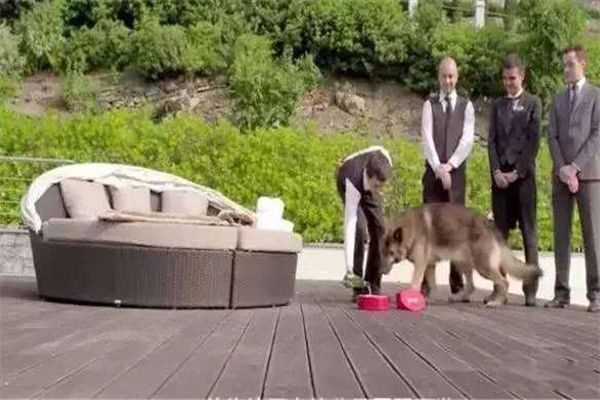 ��������еĹ���ɪ������ʲôƷ�� ��ɪ������������˭