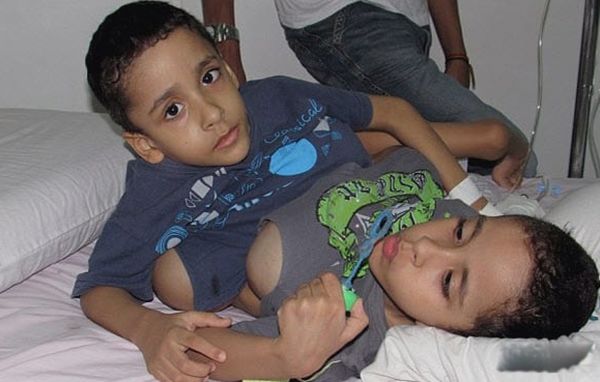 ����˫��̥����ô�γɵ� ����˫��̥����������