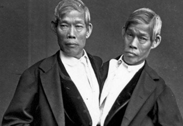 ����˫��̥����ô�γɵ� ����˫��̥����������