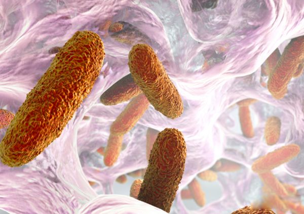 ���ݸ����˵���ƽ��� ���ݸ������Ǹ���������