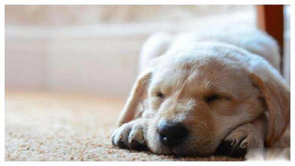 ��������������,ûʲô���� С������������Щ֢״