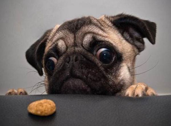 ��������������,ûʲô���� С������������Щ֢״