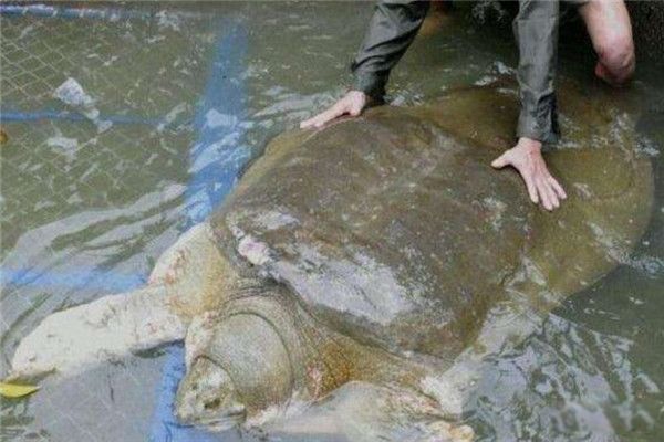 ����ʲô���� ��ˮ�������Ľ���