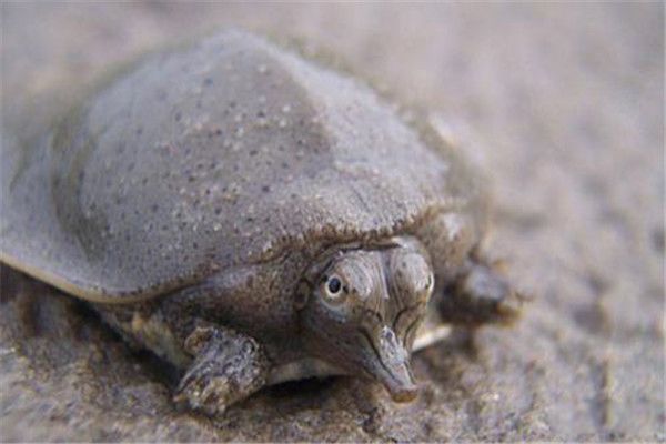 ����ʲô���� ��ˮ�������Ľ���