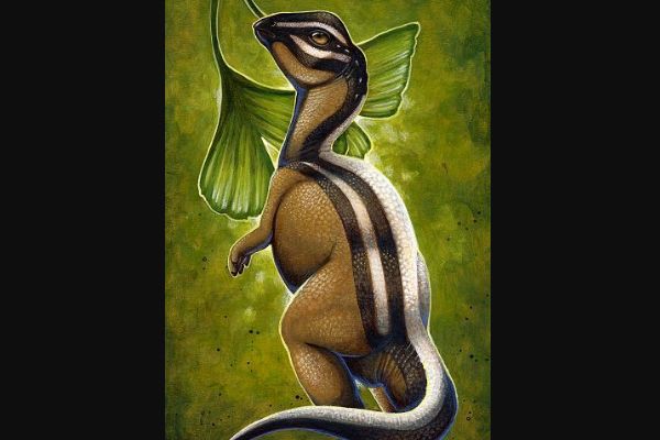 ΢��ͷ����ʲô���� ����С��ֲʳ�Կ�����һ��