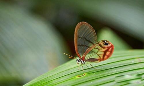 ȫ����ϡ�еĺ���Ʒ��ͼƬ õ��ˮ���۵����ҹ���Ʒ