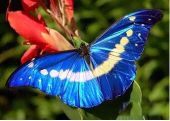 ȫ����ϡ�еĺ���Ʒ��ͼƬ õ��ˮ���۵����ҹ���Ʒ