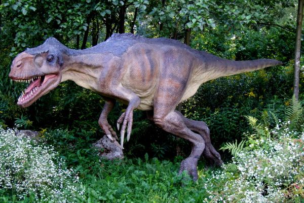 始暴龙的介绍 始暴龙的特点是什么?