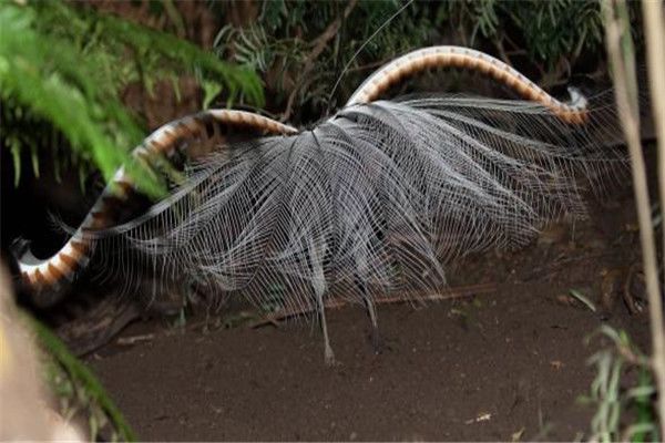 �����ģ����˵�� ����ļ�������ص�