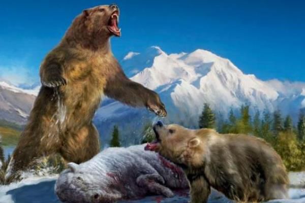 ���Ͷ��������ض��ٹ��� ���Ͷ���������ʳ�Զ�����