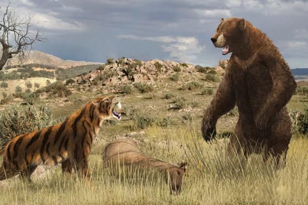 ���Ͷ��������ض��ٹ��� ���Ͷ���������ʳ�Զ�����