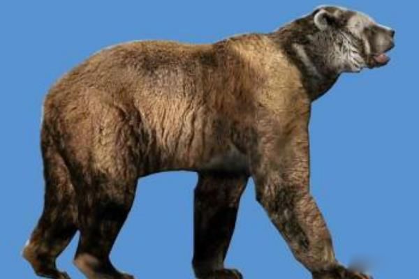 ���Ͷ��������ض��ٹ��� ���Ͷ���������ʳ�Զ�����