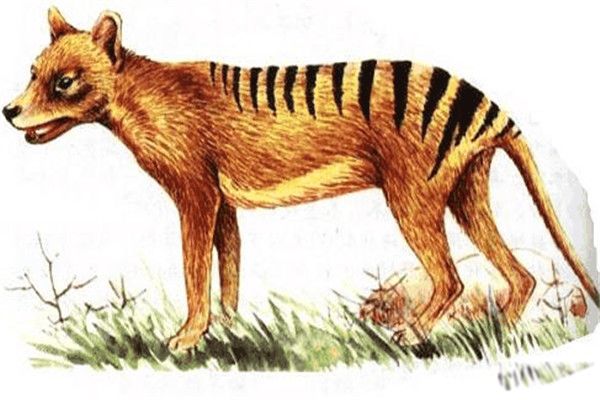 ���ǵ�����ͼƬ �������·����������