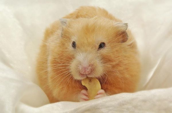 ��������Ҫע��Щʲô �������������ű�֪