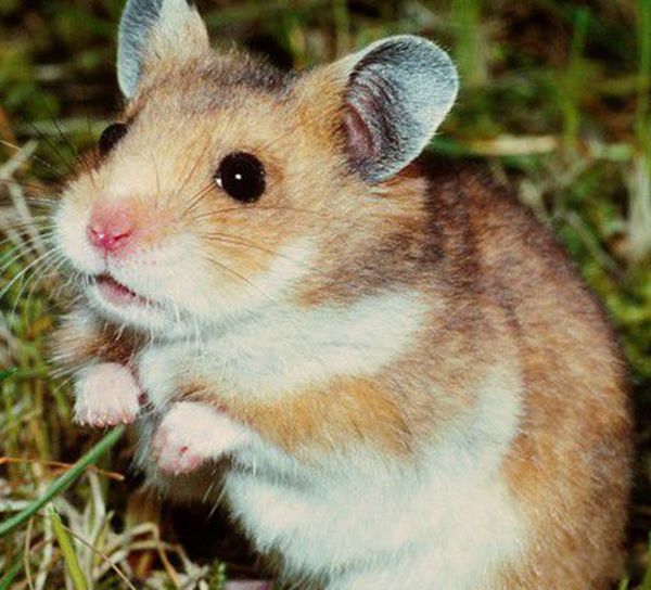 ��������Ҫע��Щʲô �������������ű�֪