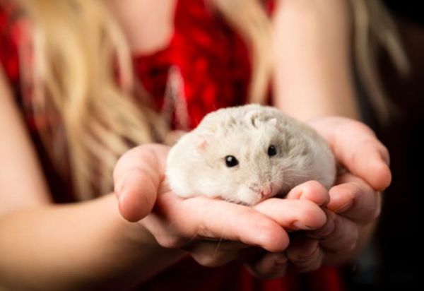 ��������Ҫע��Щʲô �������������ű�֪