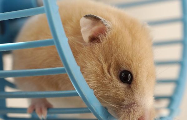 ��������Ҫע��Щʲô �������������ű�֪