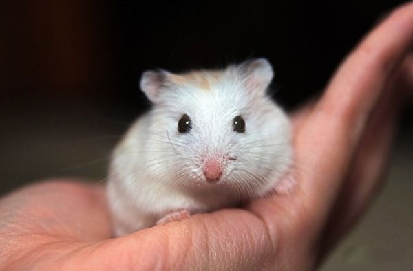 ��������Ҫע��Щʲô �������������ű�֪